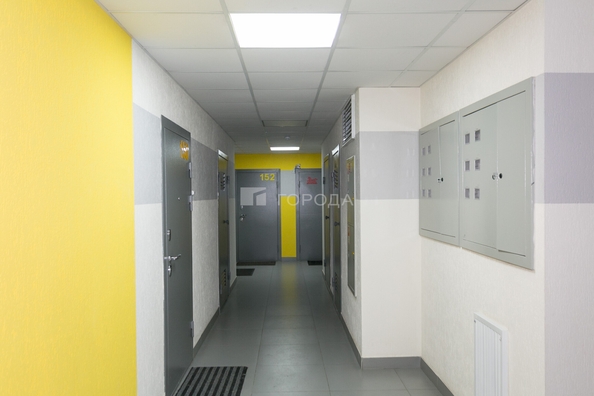 
  Продается студия 26.5 м². Фото 14.