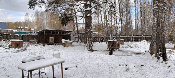 
  Продается земельный участок 34.5 сотки. Фото 10.