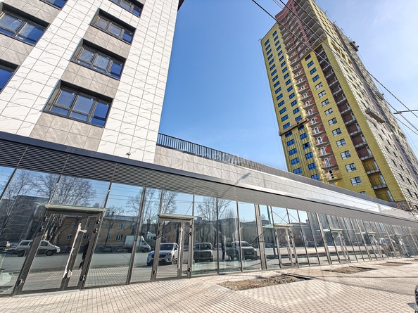 
  Сдается универсальное помещение 41.63 м². Фото 28.