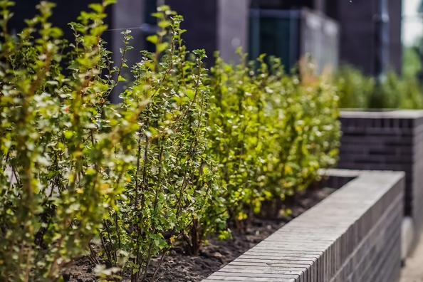 
  Продается 3-комн. квартира 59.2 м², в ЖК Тайм Сквер. Фото 18.