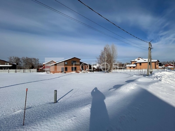 
  Продается земельный участок 6 соток. Фото 5.