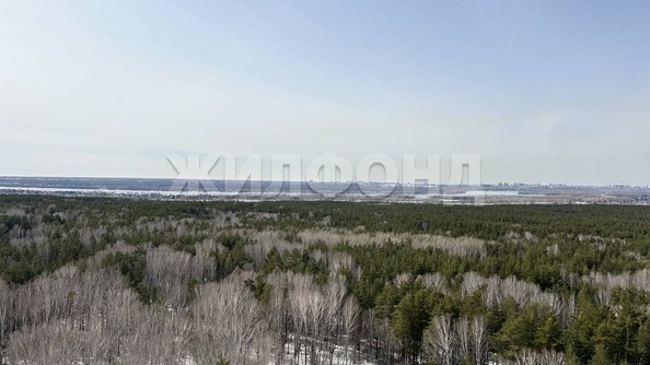 
  Продается 1-комн. квартира 33.4 м², в ЖК Сокольники, стр 1. Фото 2.