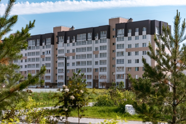
  Продается 3-комн. квартира 69.8 м², в ЖК Фламинго, дом 20. Фото 2.