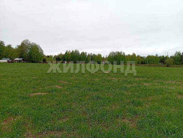 
  Продается земельный участок 44.8 сотки. Фото 7.