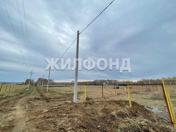 
  Продается земельный участок 1001 сотка. Фото 2.