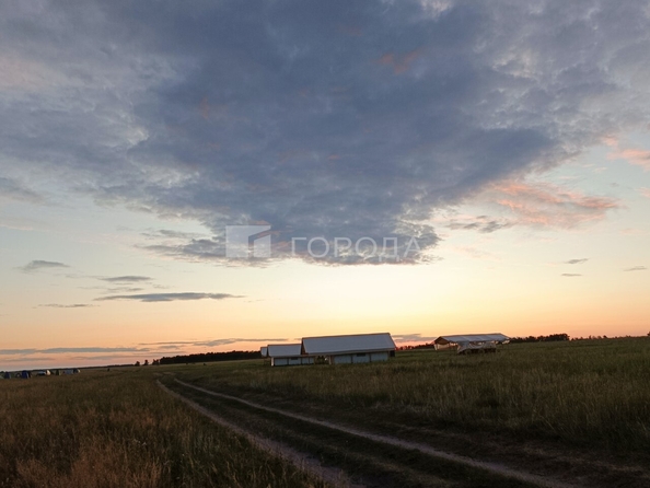
  Продается готовый бизнес 20000 м². Фото 7.