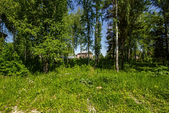
  Продается земельный участок 10 соток. Фото 34.