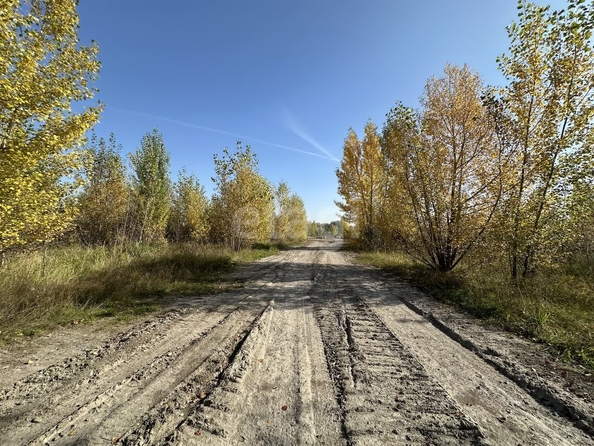 
  Продается земельный участок 1516.97 соток. Фото 16.