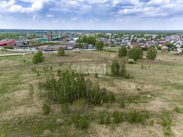 
  Продается земельный участок 6 соток. Фото 5.