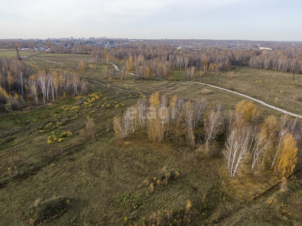 
  Продается земельный участок 6 соток. Фото 3.