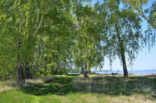 
  Продается земельный участок 14.6 соток, в КП Олимп. Фото 16.