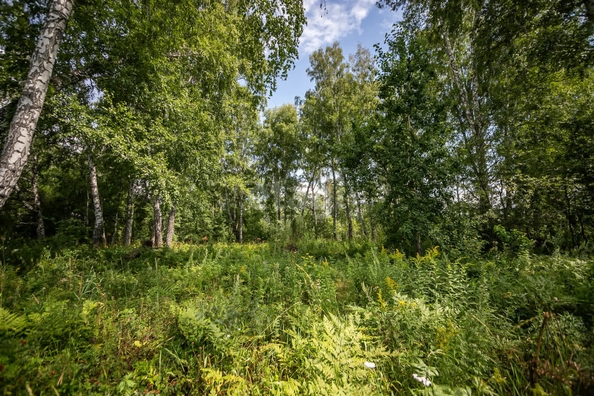 
  Продается земельный участок 14.6 соток, в КП Олимп. Фото 18.