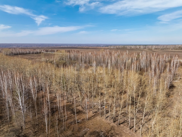 
  Продается земельный участок 950 соток, в КП Олимп. Фото 12.