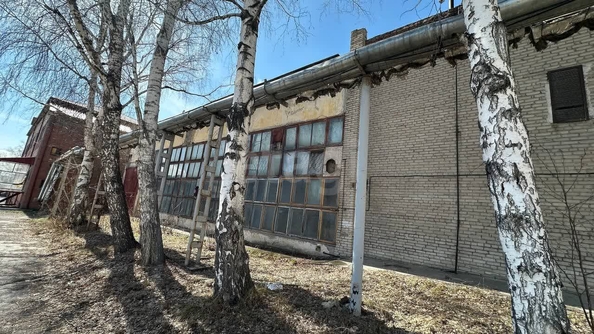 
  Сдается производственное помещение 589 м². Фото 3.