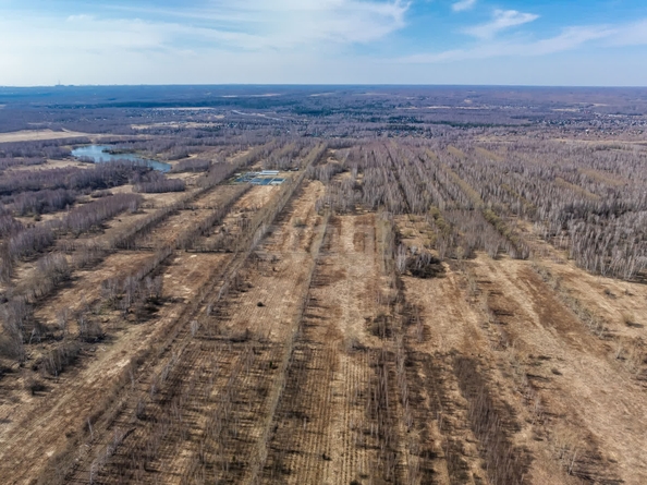 
  Продается земельный участок 490 соток, в КП Олимп. Фото 10.