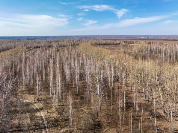 
  Продается земельный участок 247 соток, в КП Олимп. Фото 14.