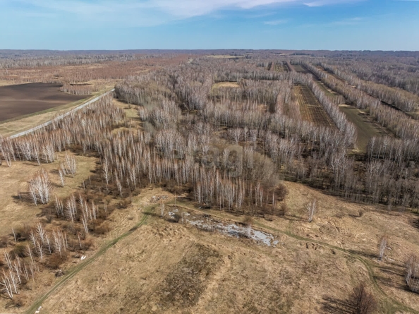 
  Продается земельный участок 6116 соток, в КП Олимп. Фото 18.