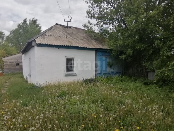 
  Продается земельный участок 6 соток. Фото 4.