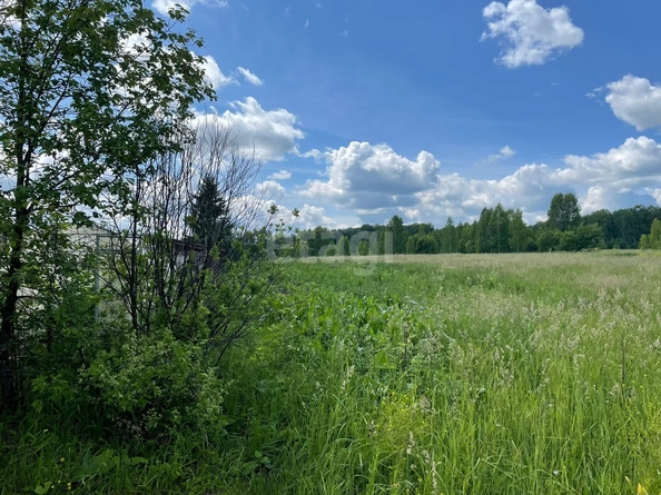 
  Продается земельный участок 15 соток. Фото 3.