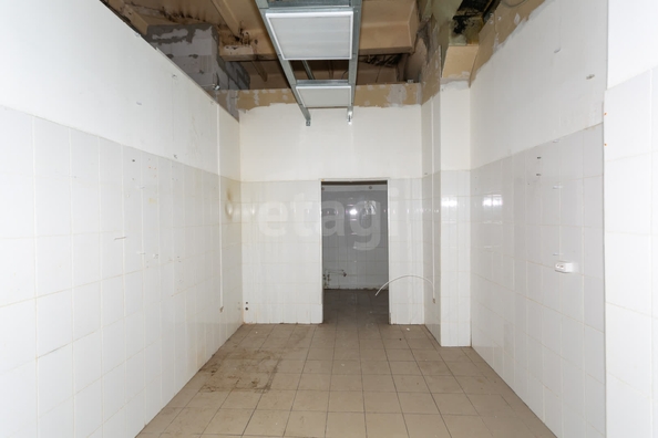 
  Сдается универсальное помещение 274 м². Фото 13.
