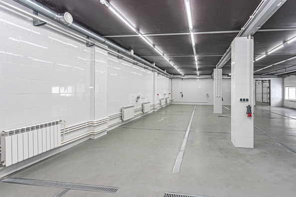 
  Сдается универсальное помещение 900 м². Фото 4.