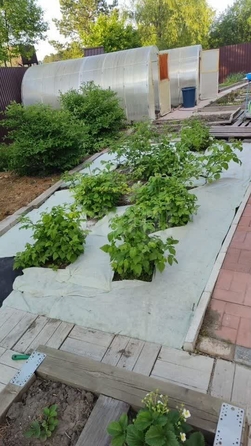 
  Продается дом 372 м². Фото 11.