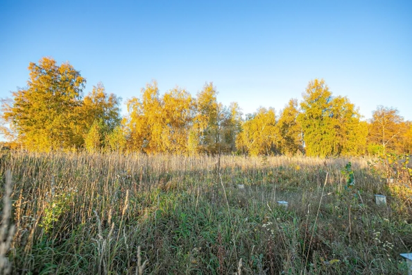 
  Продается земельный участок 7.5 соток. Фото 6.