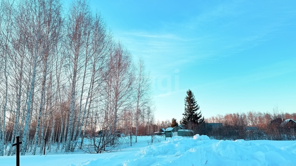 
  Продается земельный участок 6.86 соток. Фото 6.