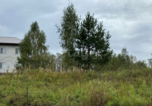 
  Продается земельный участок 6 соток. Фото 1.