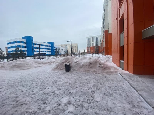 
  Сдается 1-комн. квартира 24.7 м². Фото 20.