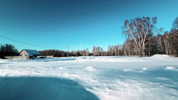 
  Продается земельный участок 8.3 соток. Фото 15.