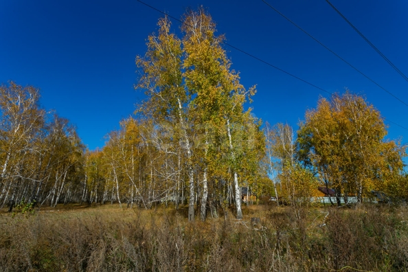 
  Продается земельный участок 18.84 соток. Фото 5.