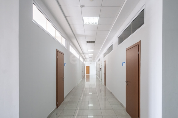 
  Сдается универсальное помещение 755 м². Фото 29.