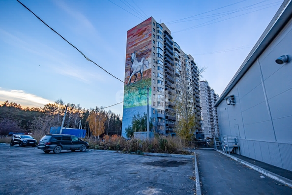 
  Сдается универсальное помещение 81.2 м². Фото 2.