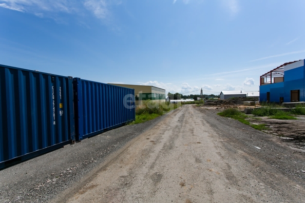 
  Продается земельный участок 53 сотки. Фото 13.