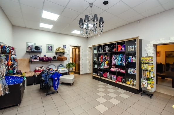 
  Сдается офис 100 м². Фото 6.