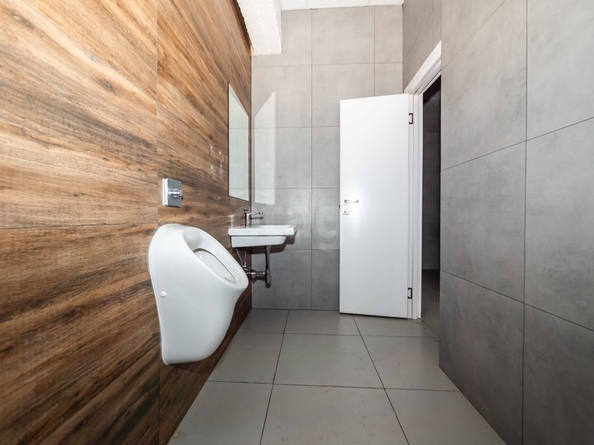 
  Сдается офис 244.7 м². Фото 23.