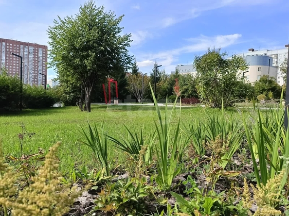 
  Продается студия 30.25 м², в ЖК Характер. Фото 1.