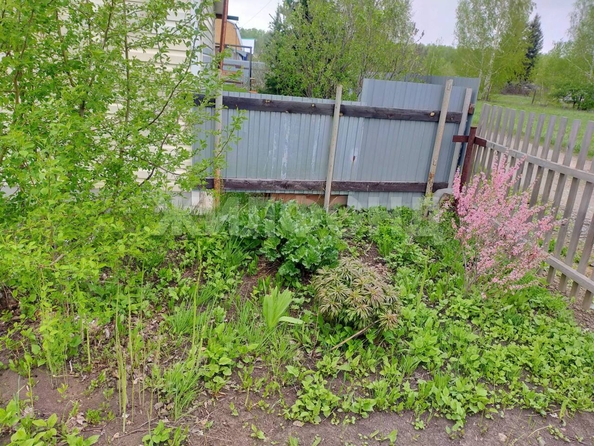
  Продается дача 24.2 м². Фото 19.