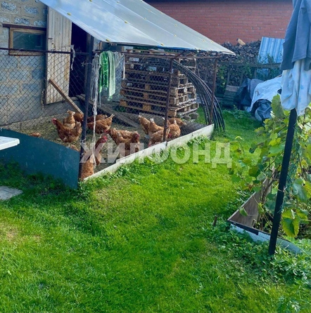 
  Продается дача 70 м². Фото 22.