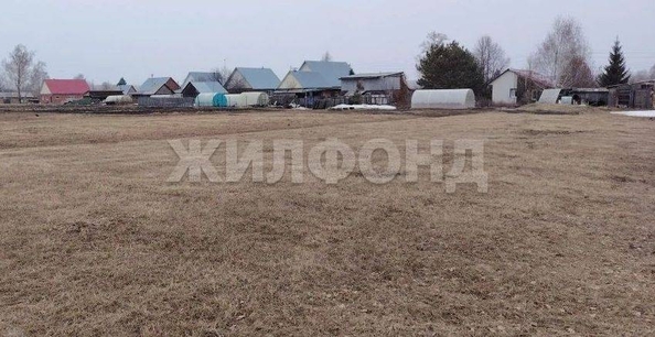 
  Продается земельный участок 15 соток. Фото 3.