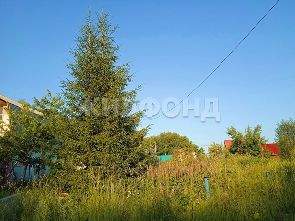 
  Продается земельный участок 7 соток. Фото 6.