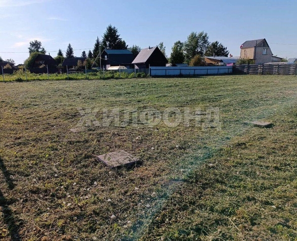 
  Продается земельный участок 11 соток. Фото 2.