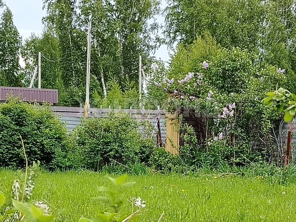 
  Продается дача 36 м². Фото 17.