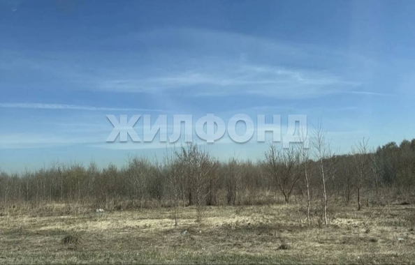 
  Продается земельный участок 112 соток. Фото 1.