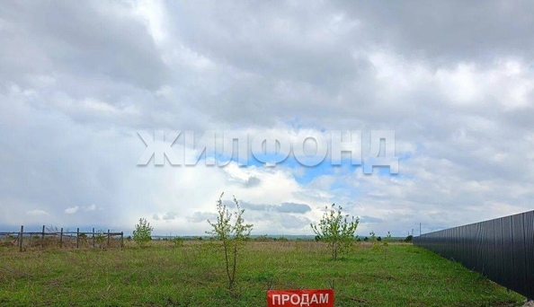 
  Продается земельный участок 30 соток. Фото 3.