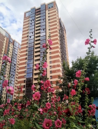 
  Продается 1-комн. квартира 39 м², в ЖК Расцветай на Гоголя, дом 1. Фото 6.