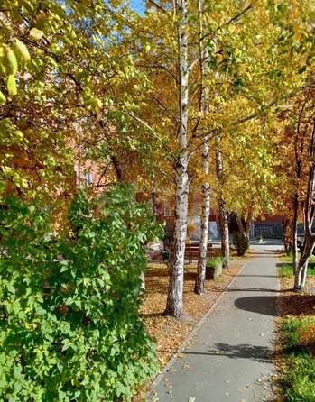 
  Продается 3-комн. квартира 69 м². Фото 20.