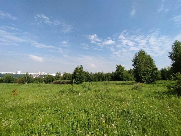 
  Продается земельный участок 427.49 соток. Фото 2.