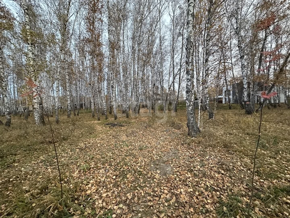 
  Продается дом 283 м², в КП Соловьи. Фото 15.